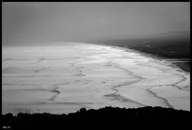 muriwai Winter