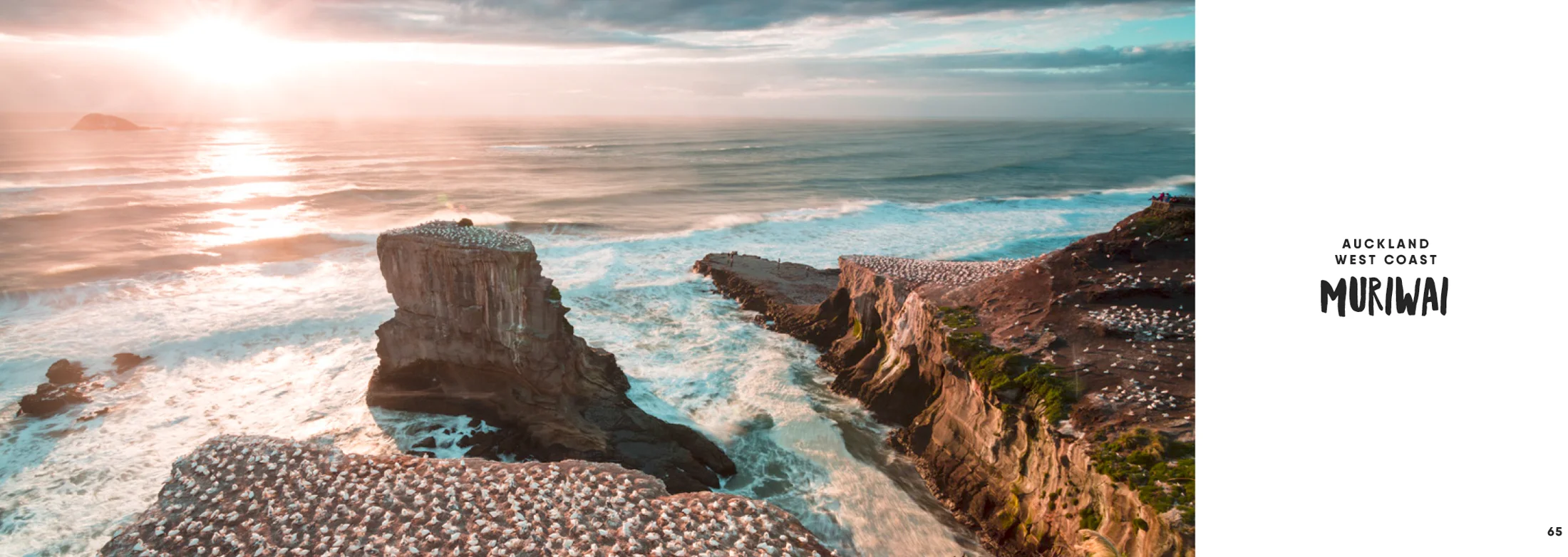 Muriwai.jpg