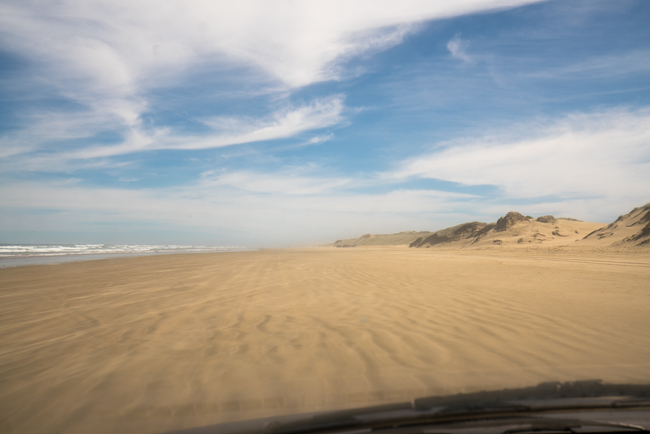 Best public highway in NZ