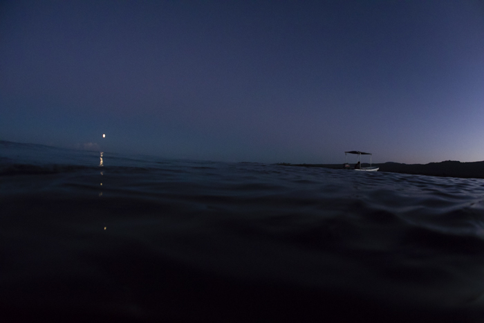 Predawn surfs under moonlight thanks to Neil from Manoa Tours