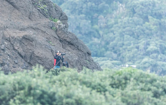 Meady on the tools at Piha last week