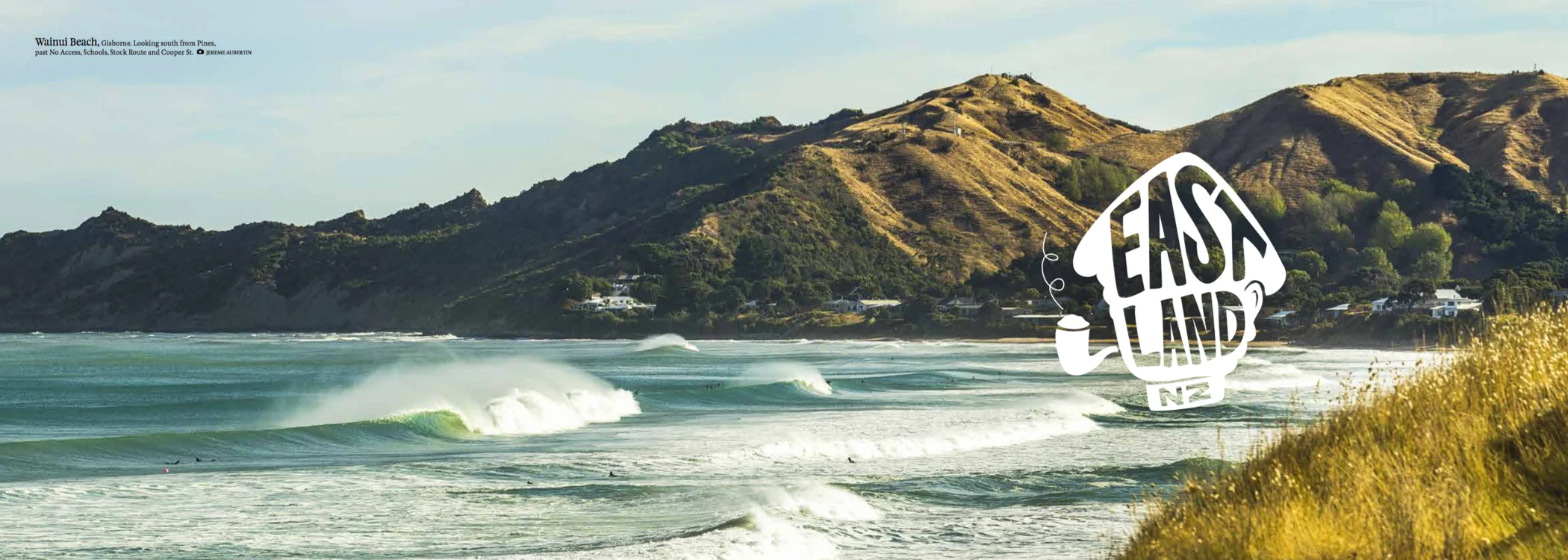 Screen Shot 2018-06-26 at 12.22.37 PM.jpg