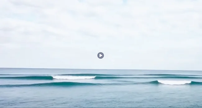 Screen Shot 2019-05-16 at 9.15.35 AM.jpg
