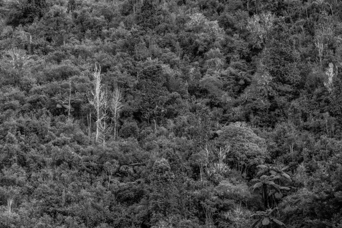 Gorge Textures