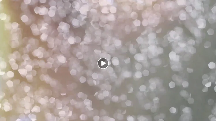 Screen Shot 2019-10-24 at 9.37.56 AM.jpg