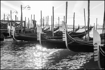 VeniceGondolas.jpg