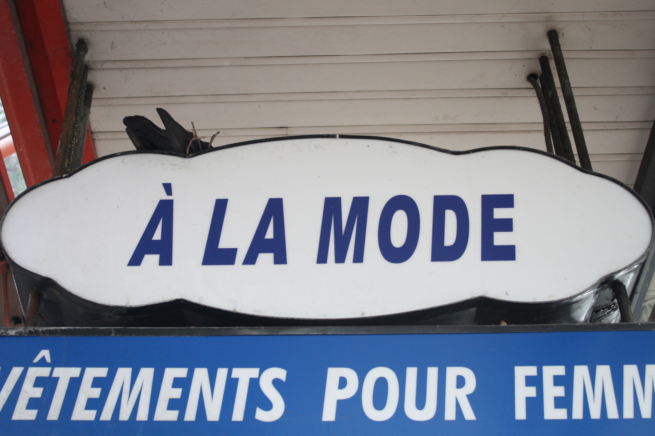  Roosting pigeons in rue St Hubert in Montreal. 