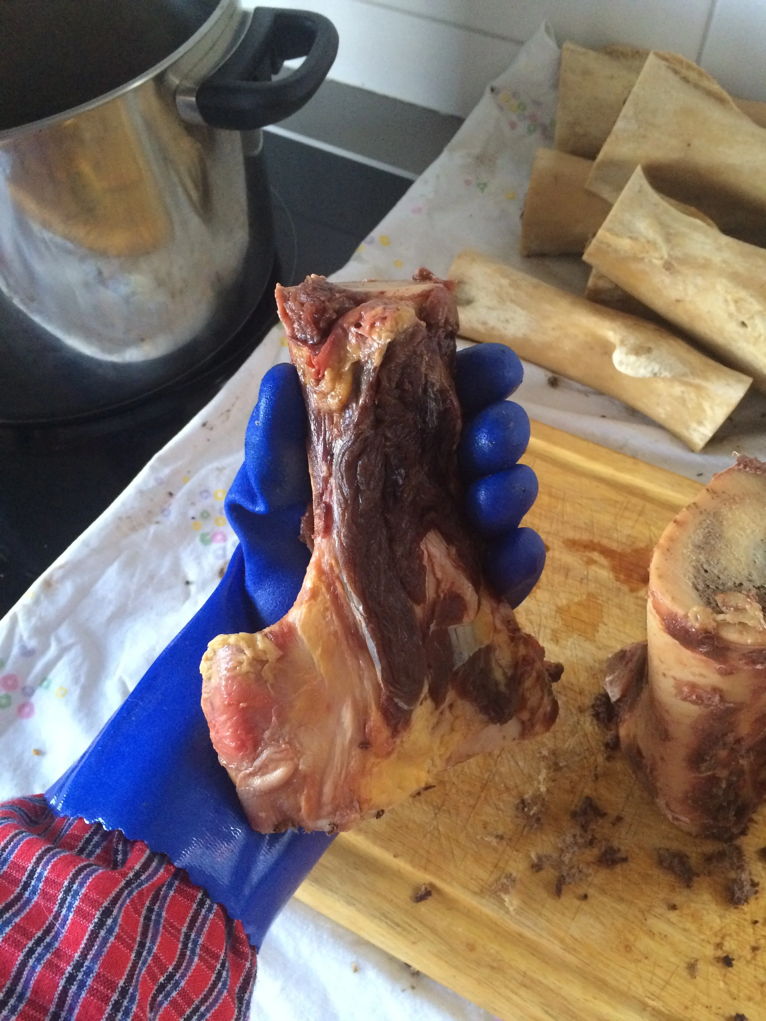 One of the 23 femurs from the slaughterhouse about to be cleaned and boiled.