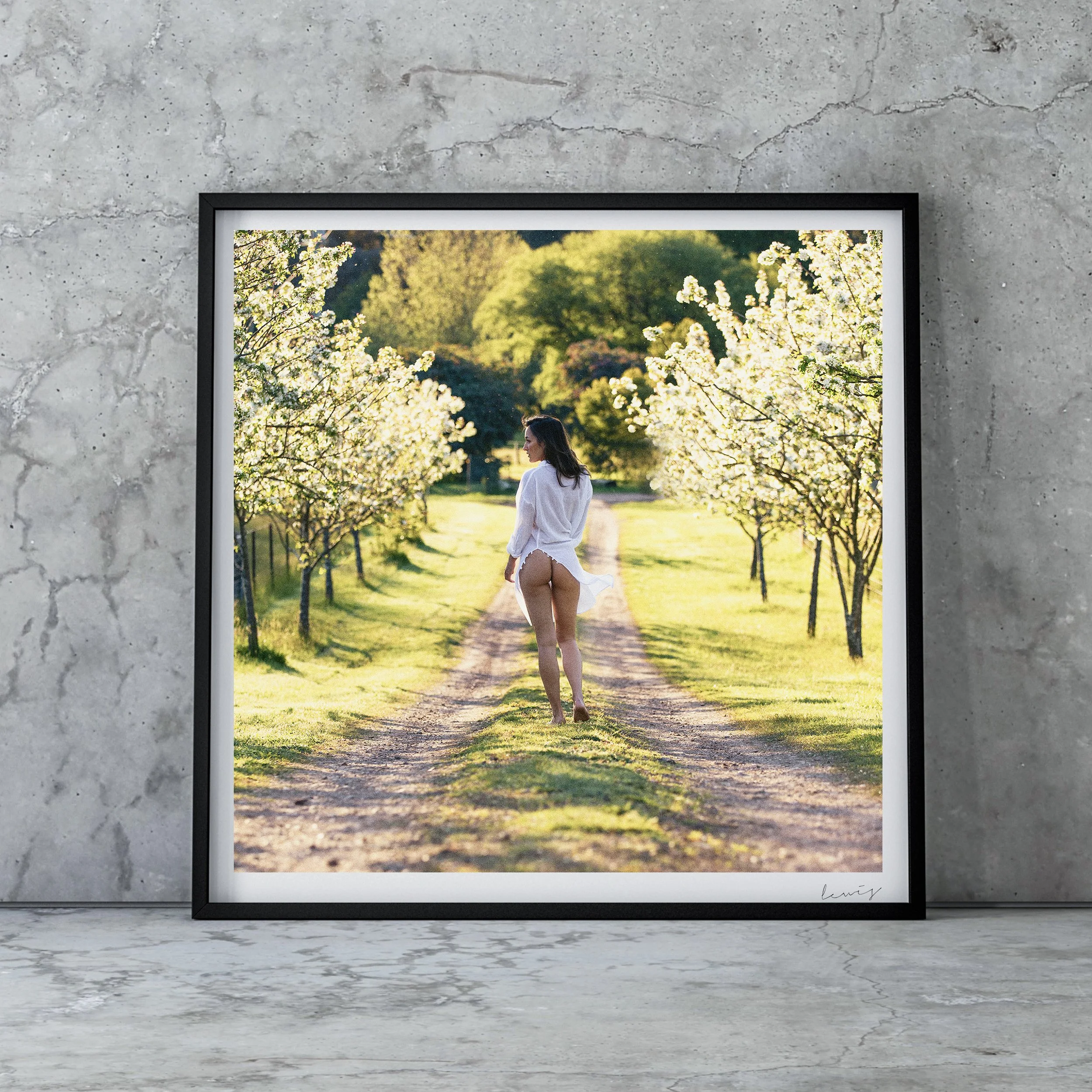 Artboard for Arcive sale 56AB1.jpg