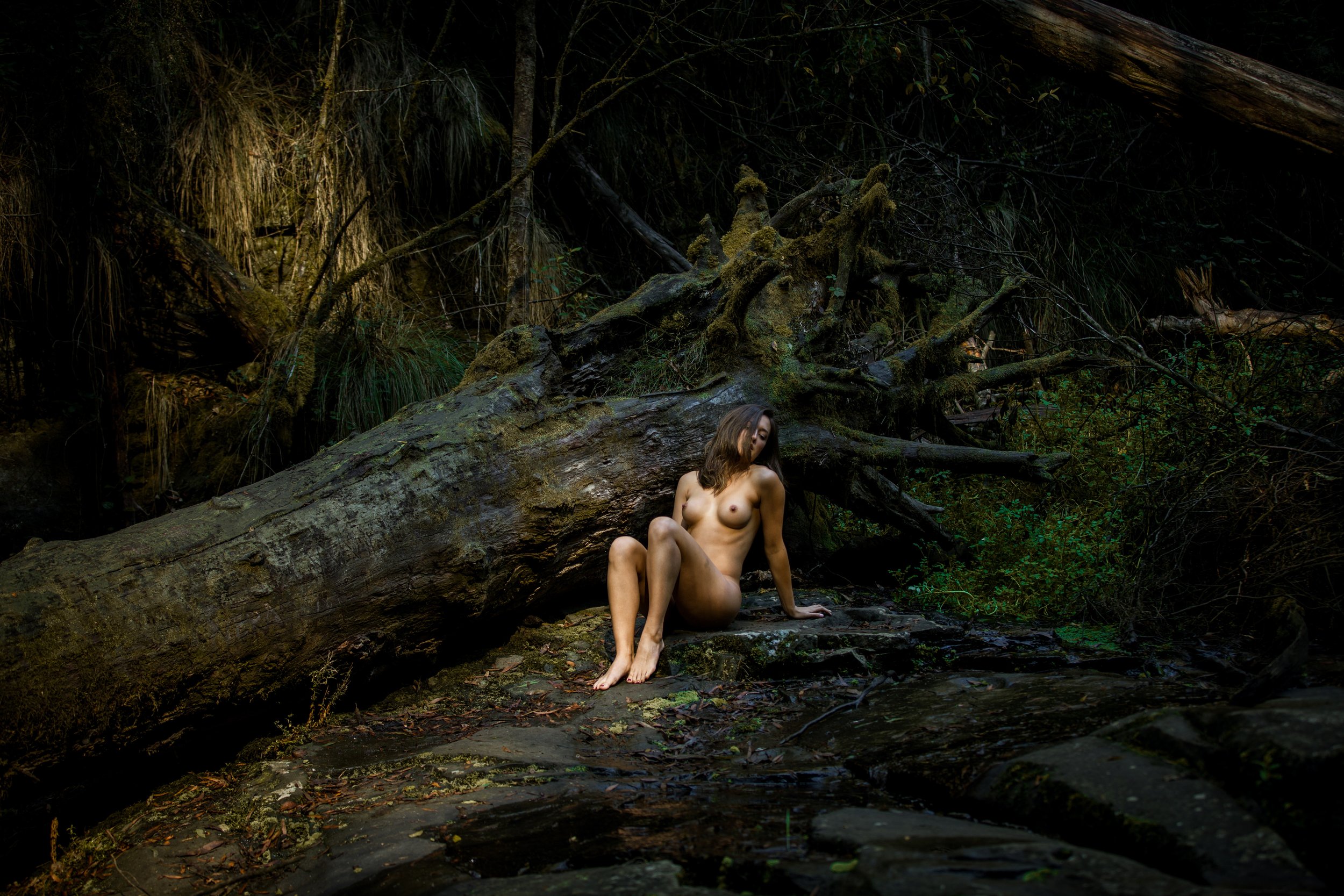 Set 04 - Lorne - Bush Log-3.jpg