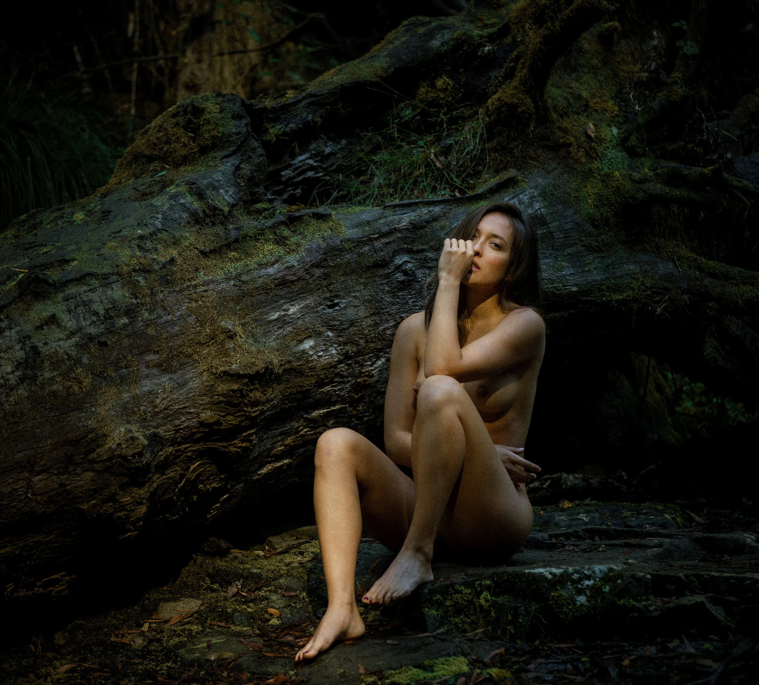 Set 04 - Lorne - Bush Log-5.jpg