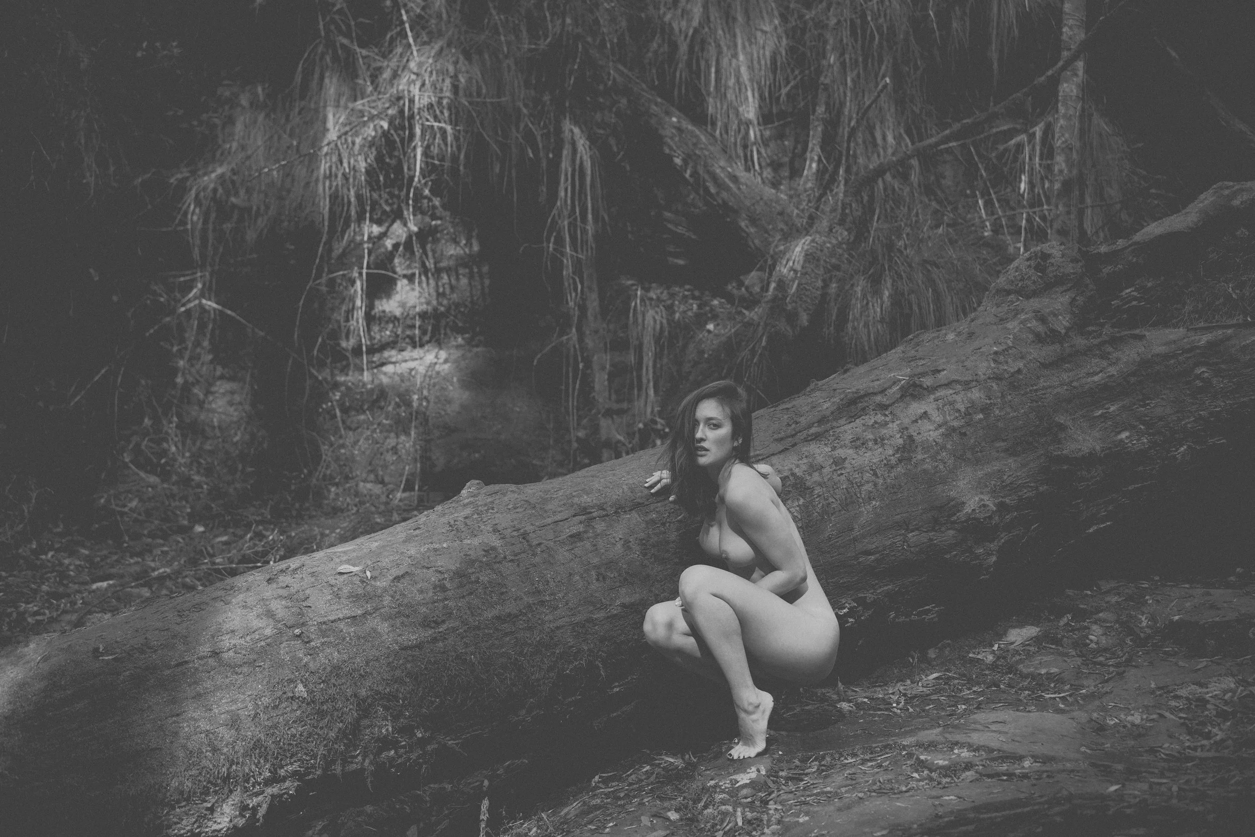 Set 04 - Lorne - Bush Log-7.jpg