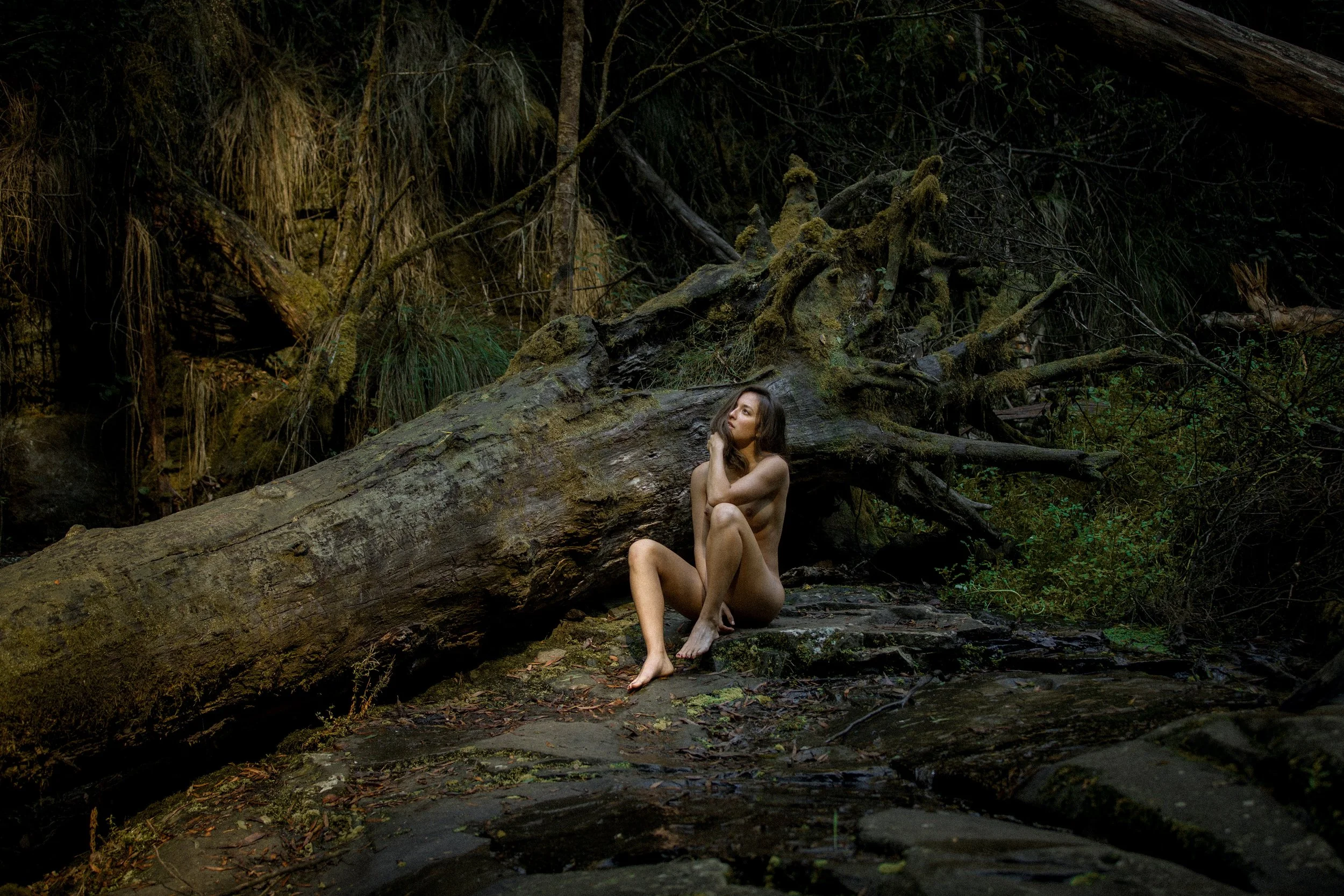 Set 04 - Lorne - Bush Log-6.jpg