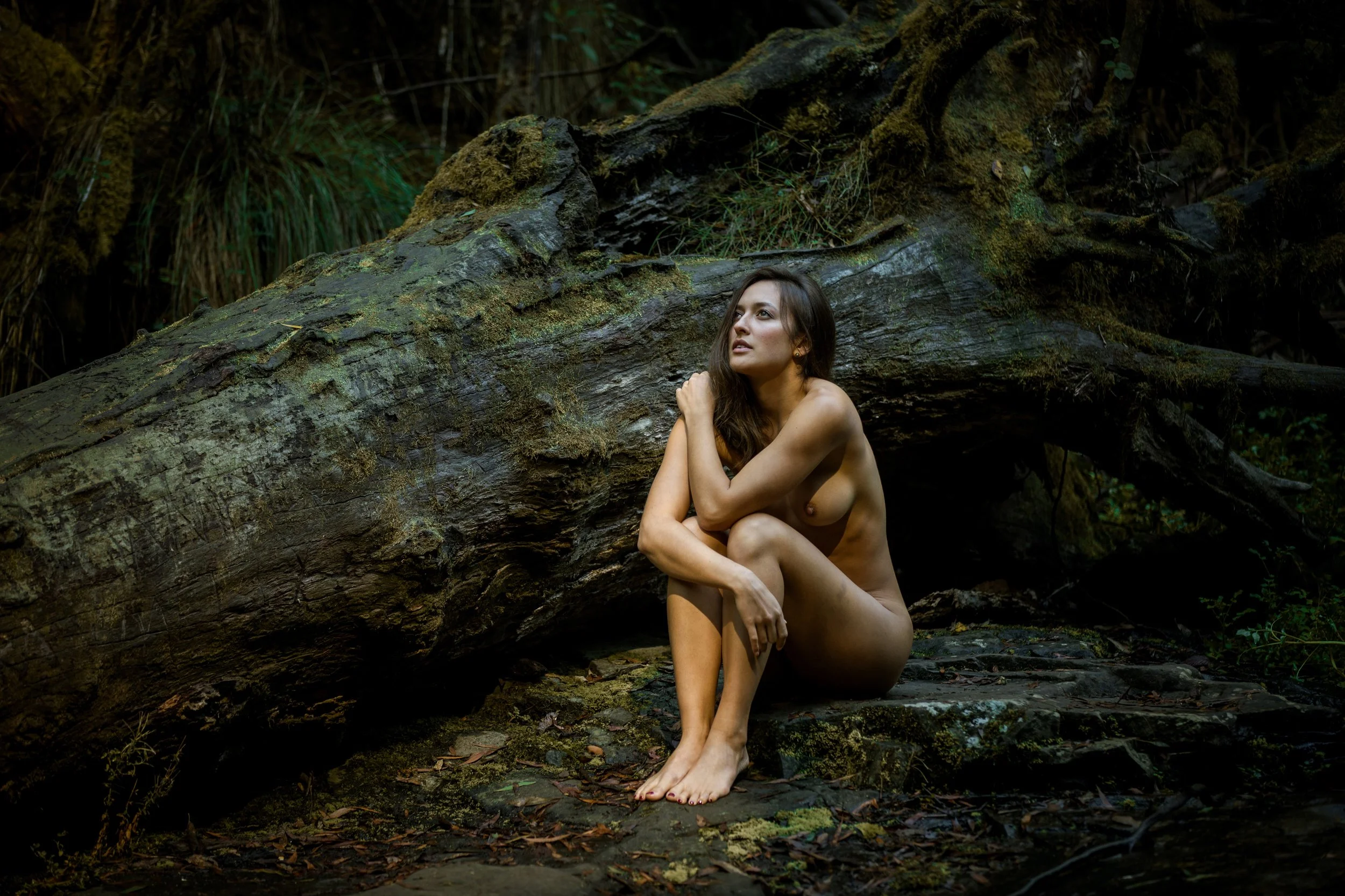 Set 04 - Lorne - Bush Log.jpg