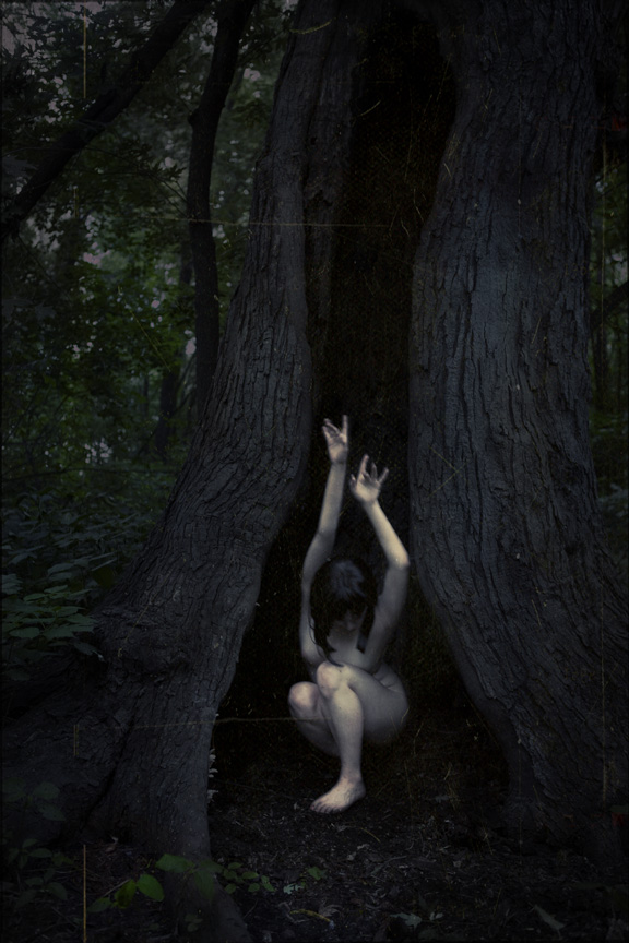 Emergence