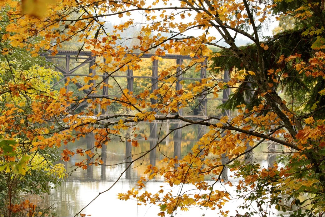 fall trestle.jpg