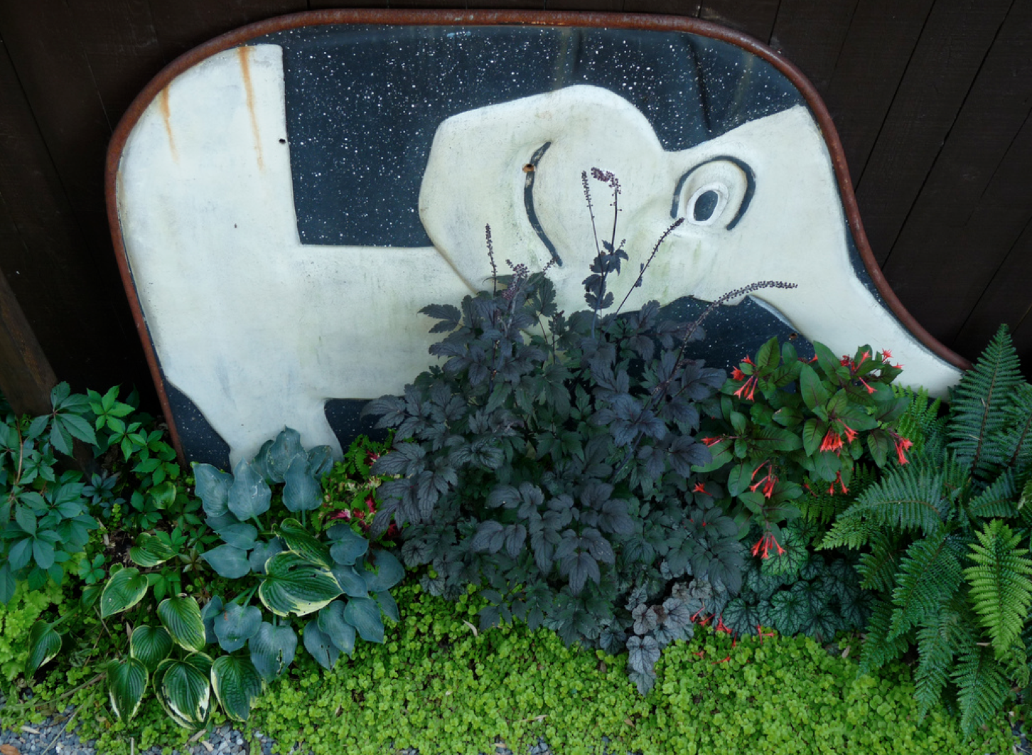 The Elephant Patch