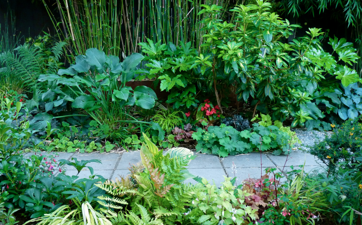 Shade-Loving Border