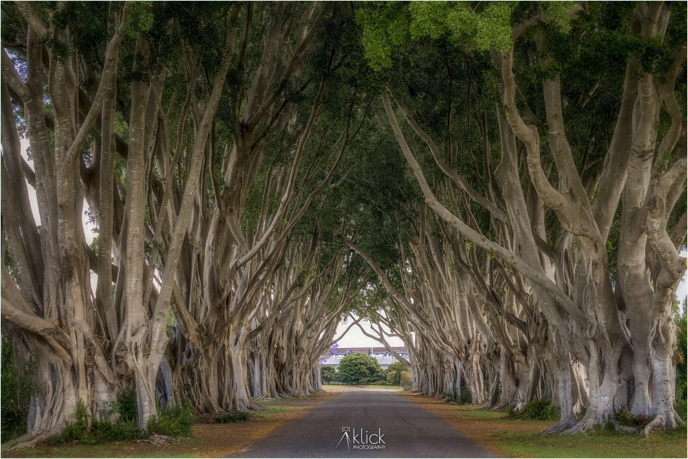 KP201025144158.jpg