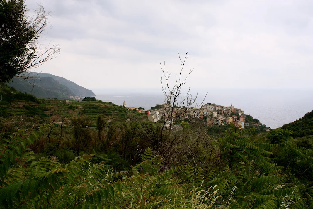 IMG_9150.JPG