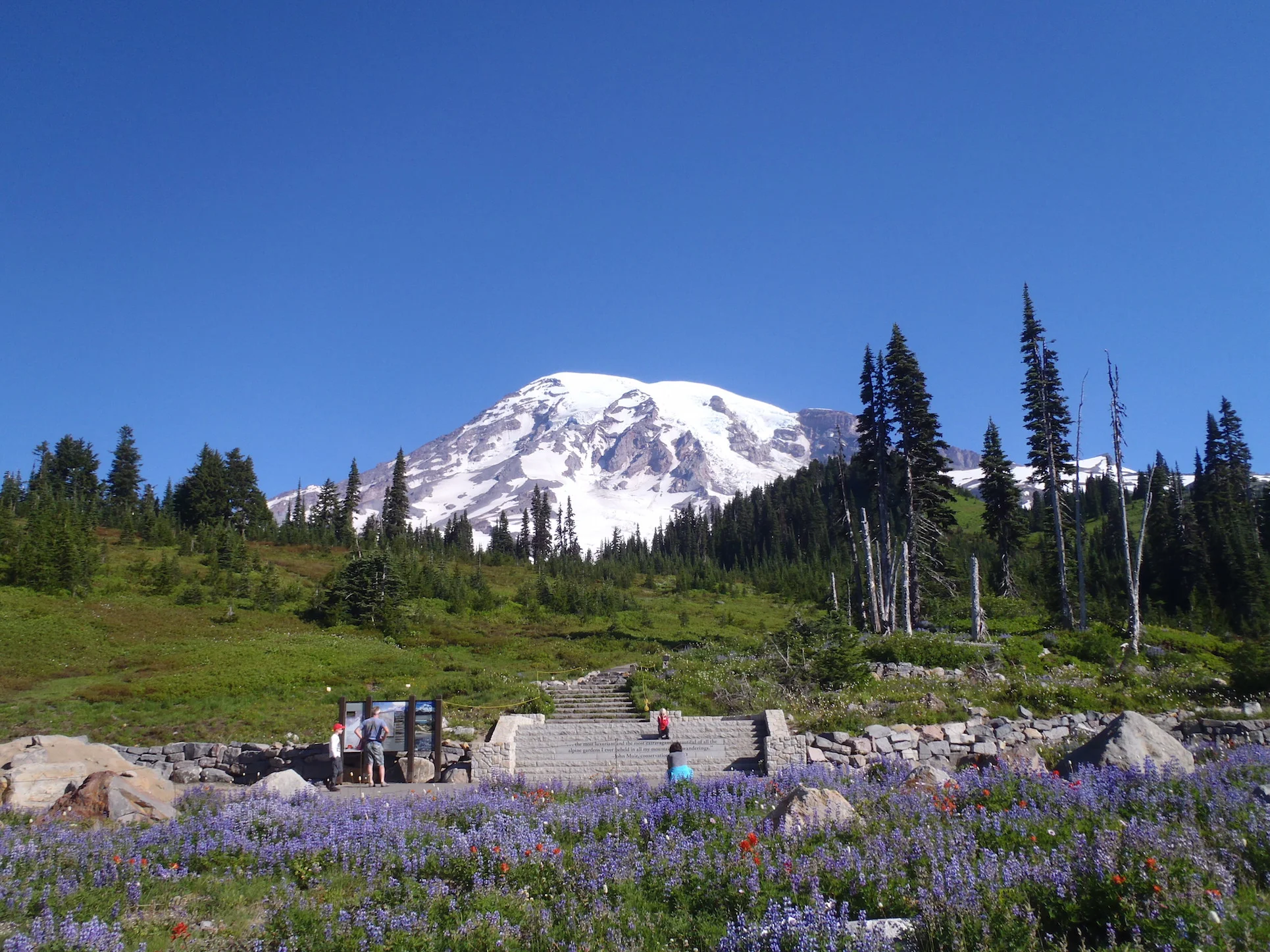MT RAINIER