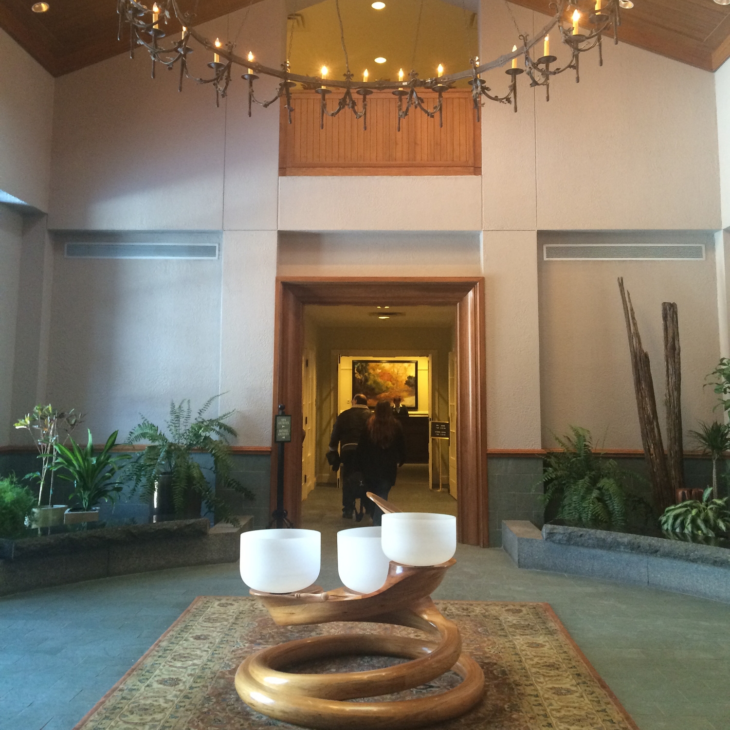 Chakra Bowls in the hotel lobby