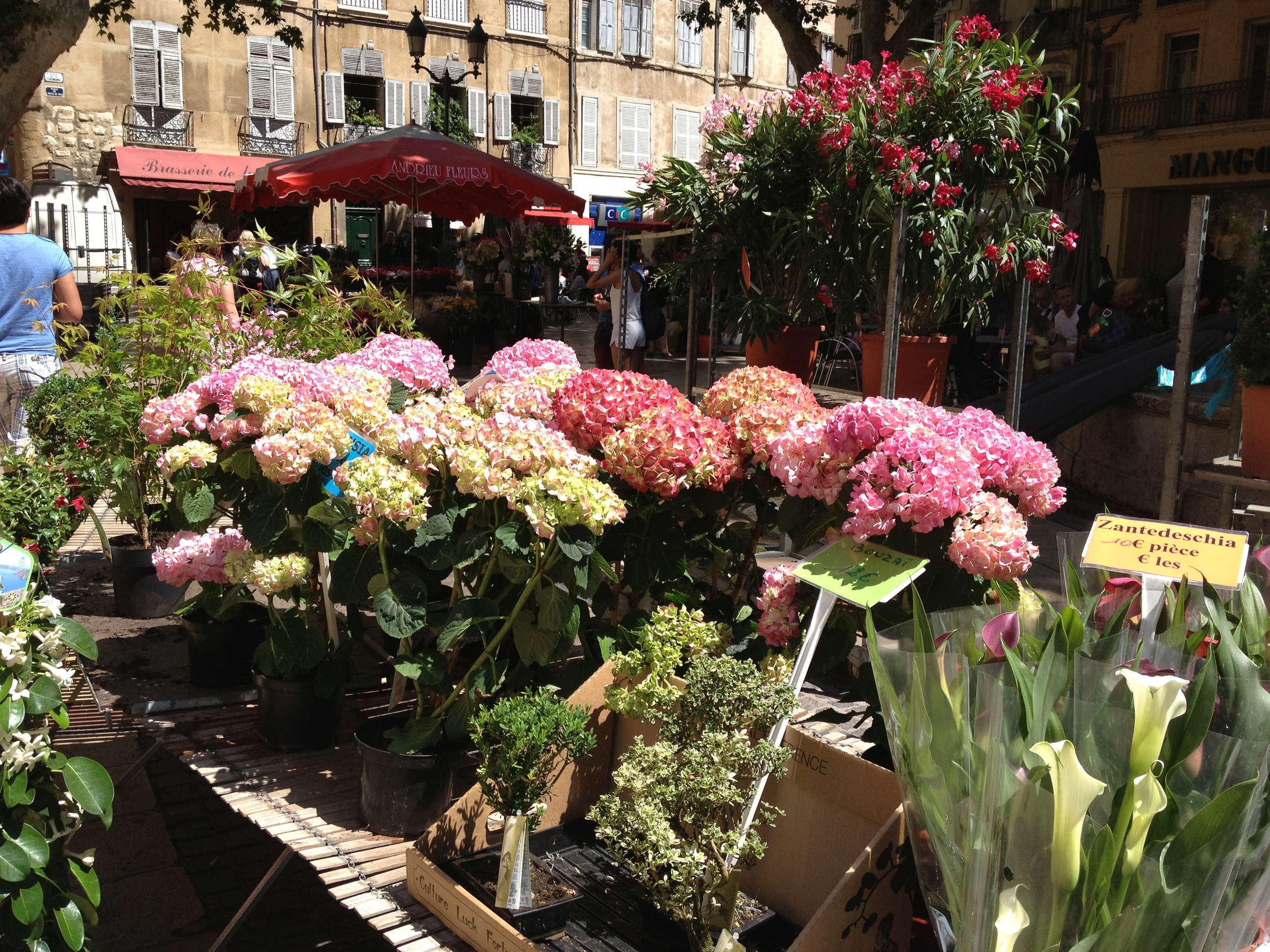 Aix Flower Market