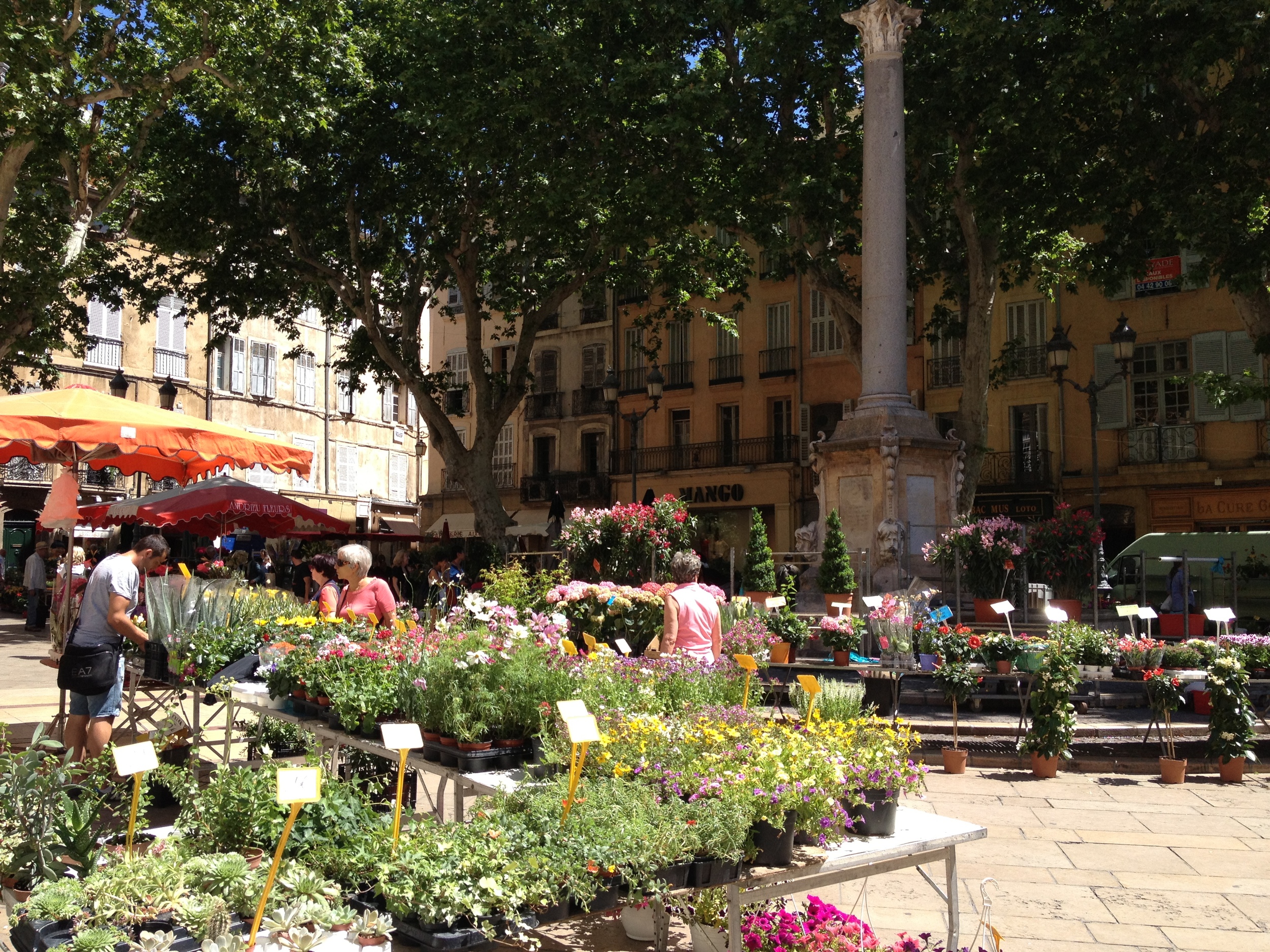 Aix Flower Market