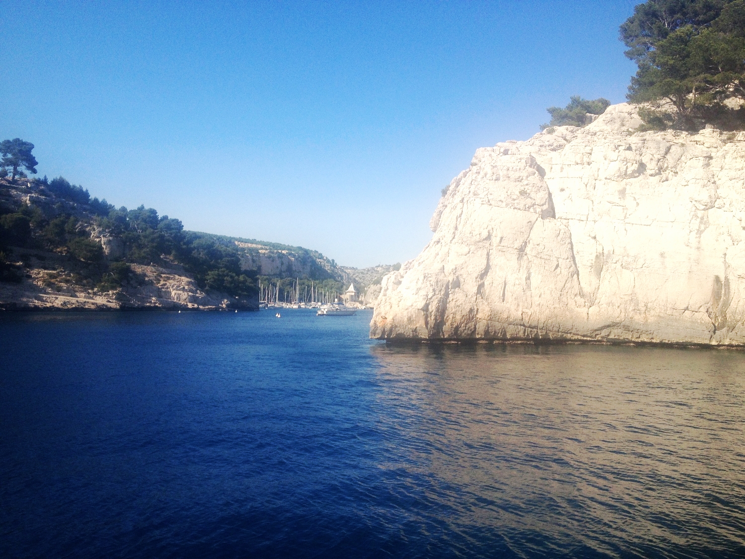 Cassis