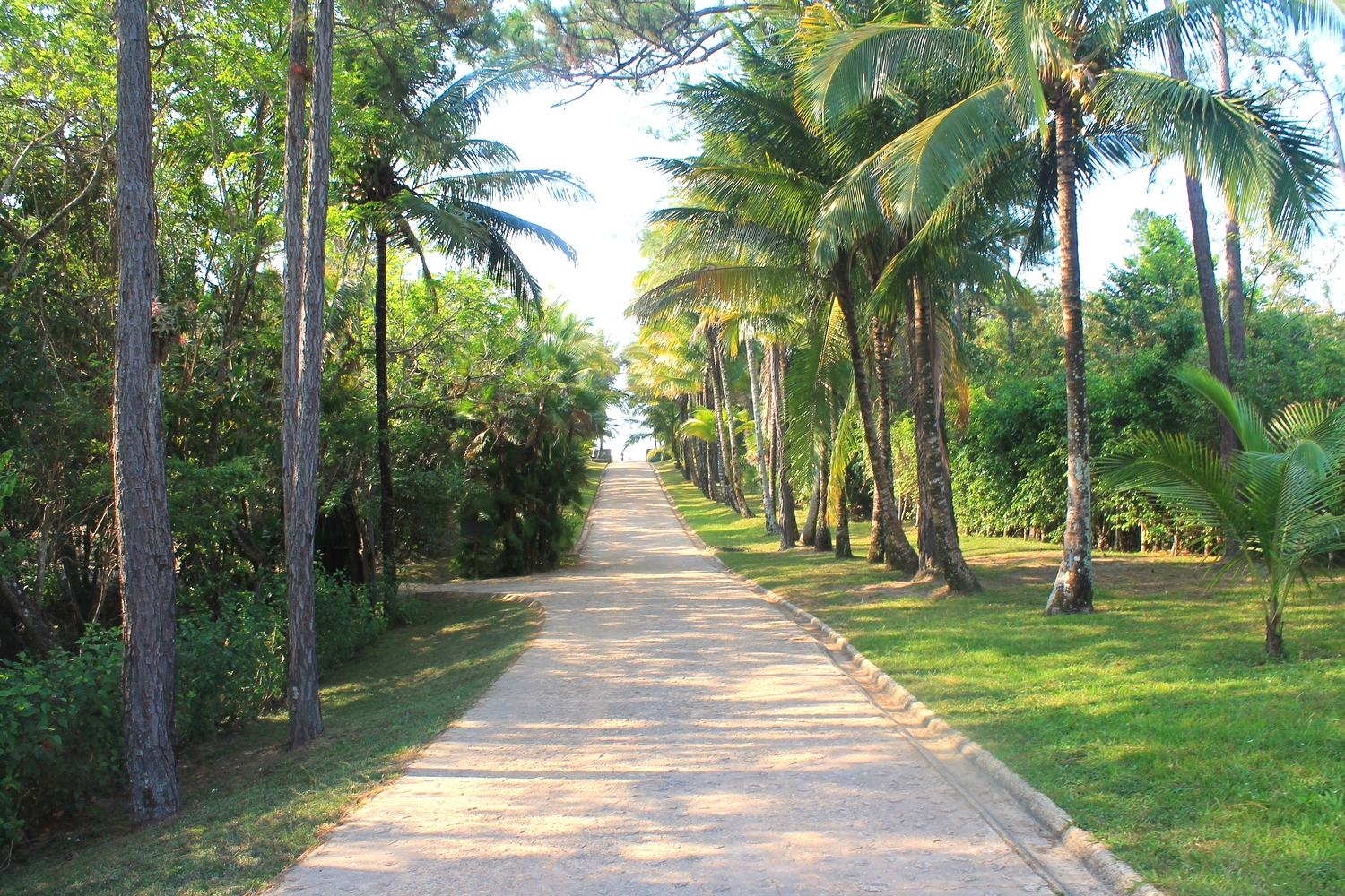 Driveway to Blancaneaux