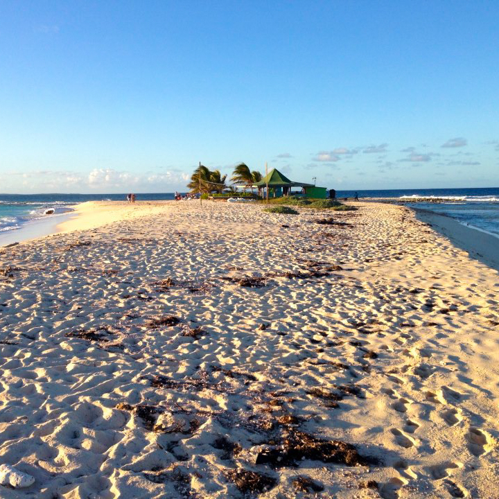 The view from the tip of Sandy Island.