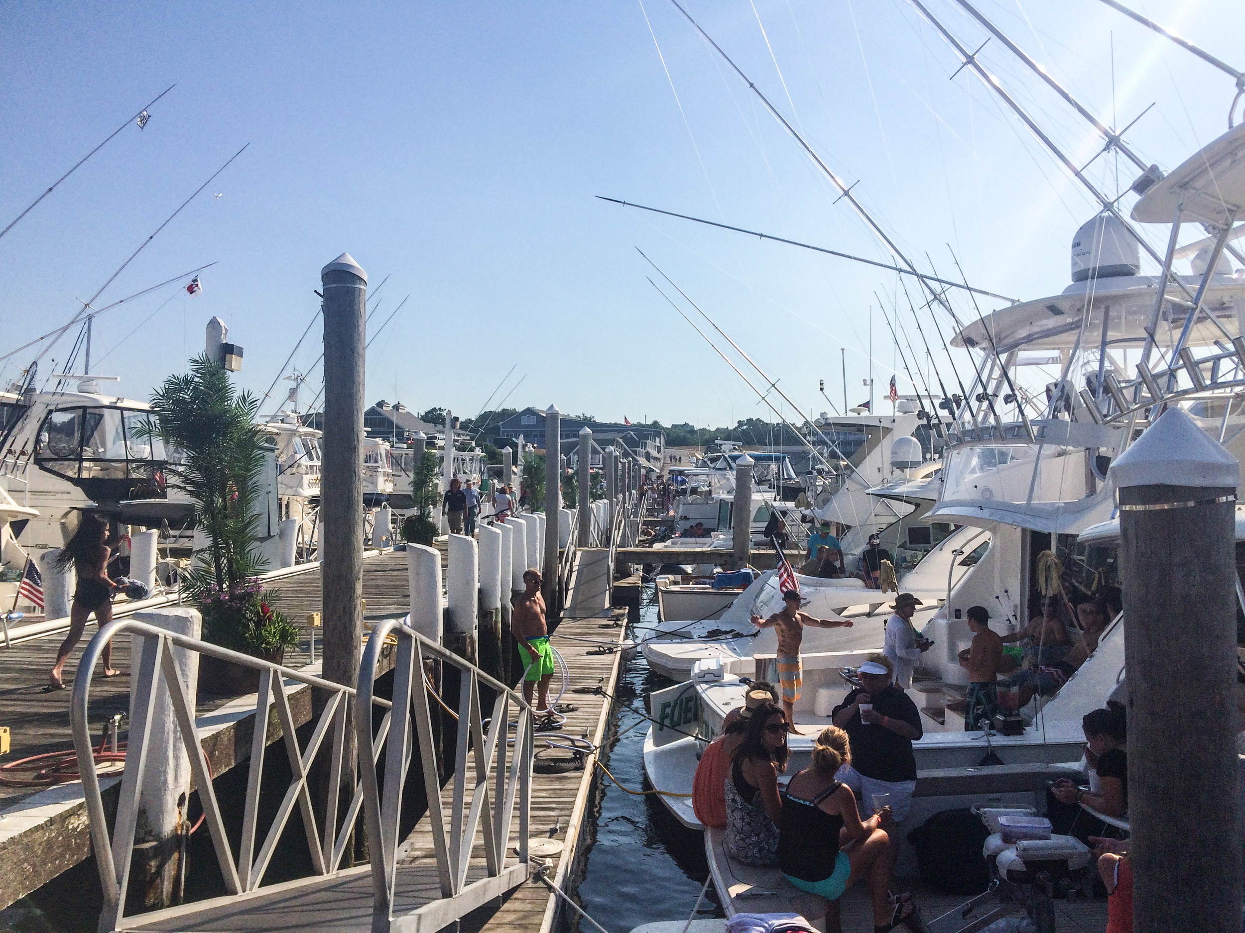 Boat parties in the habor