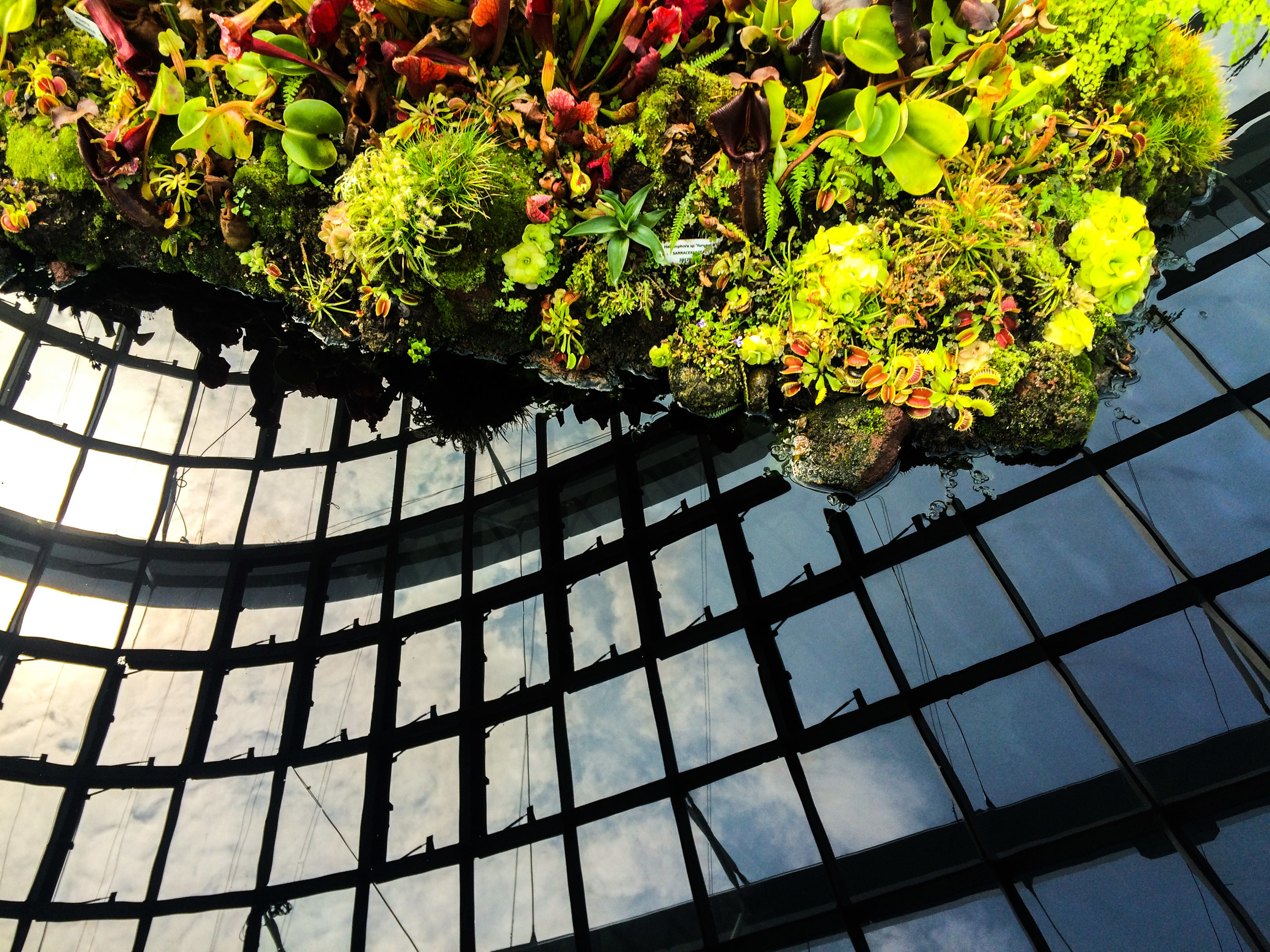 Cloud Forest, Gardens by the Bay