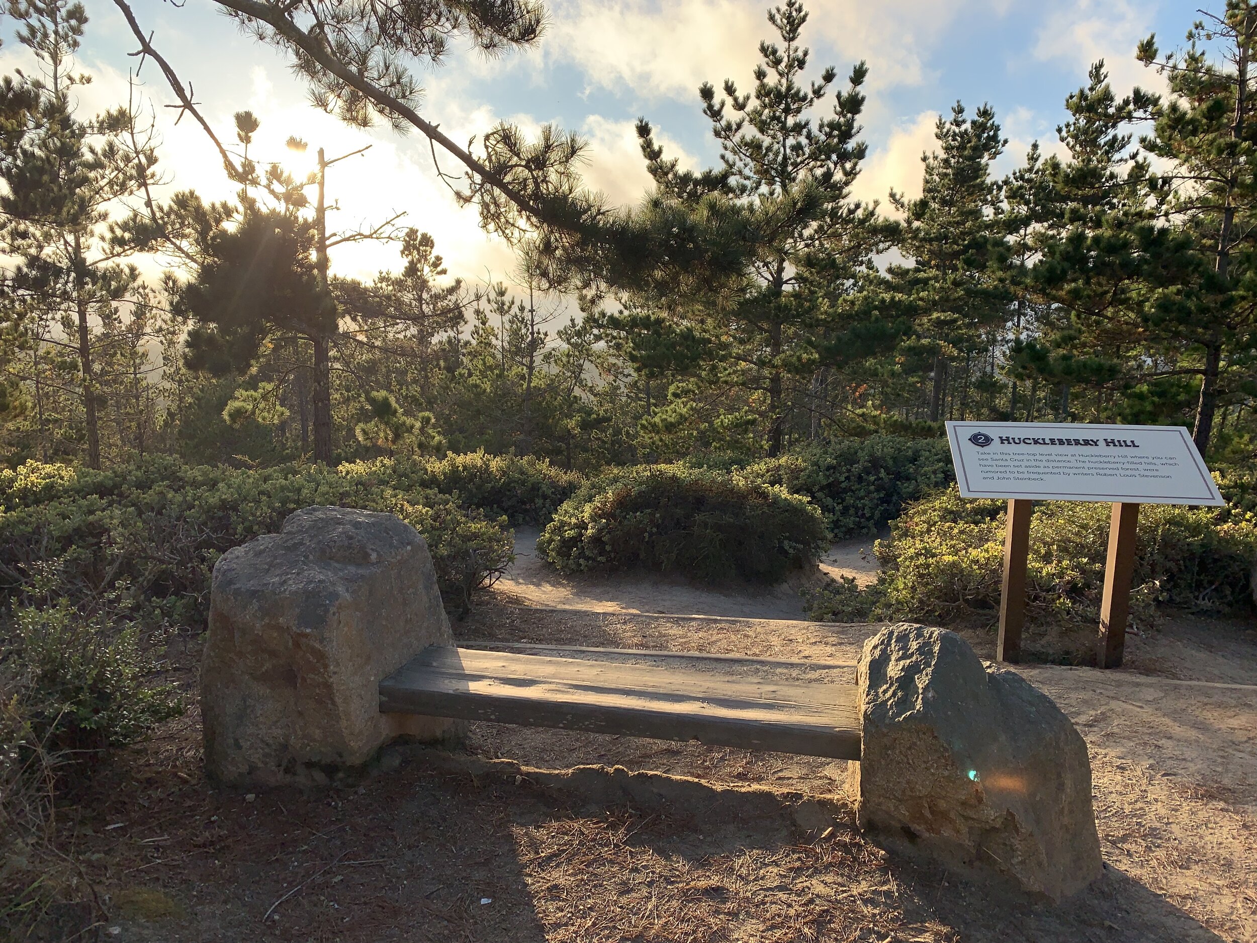  A magical stop along the 17 Mile Drive 