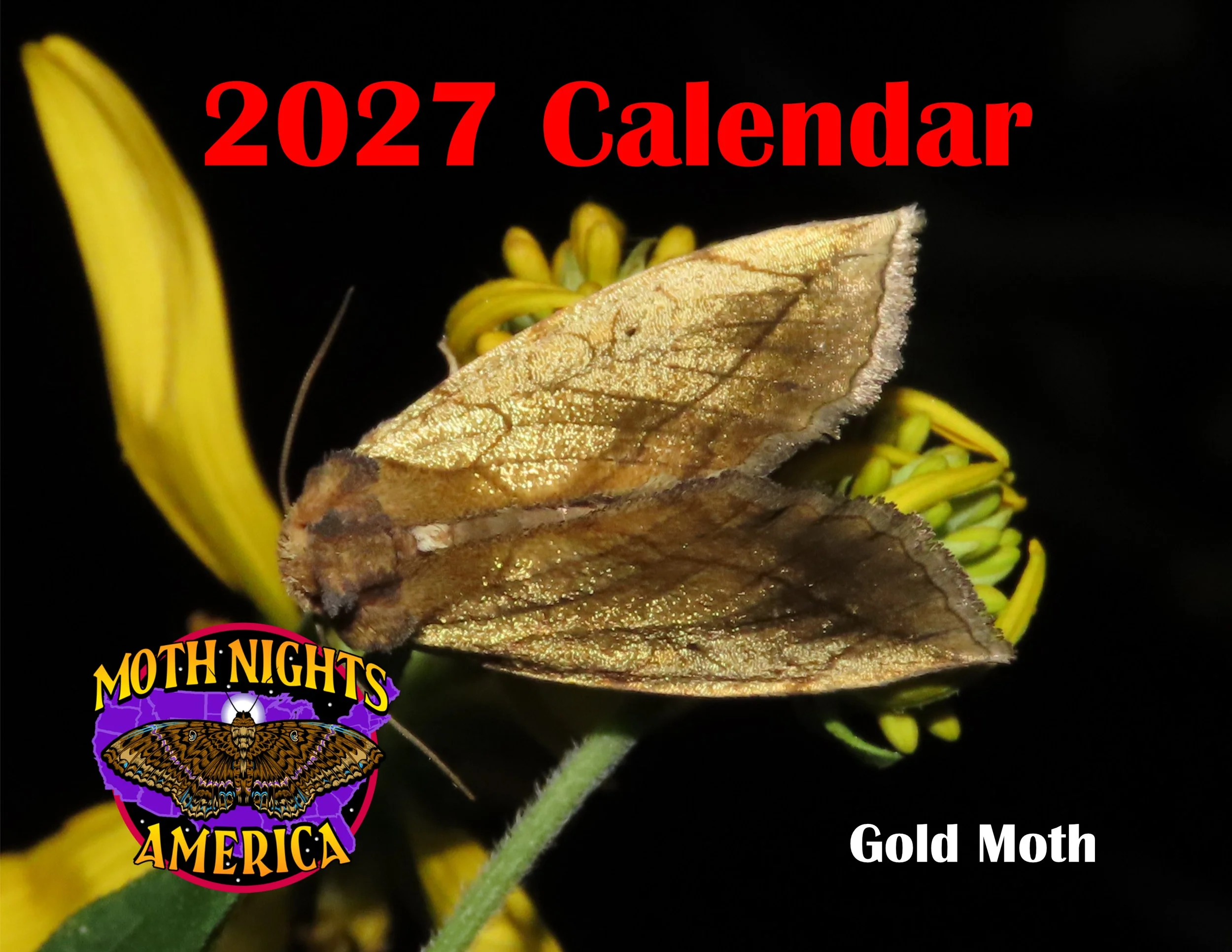 2027 calendar_5.jpg