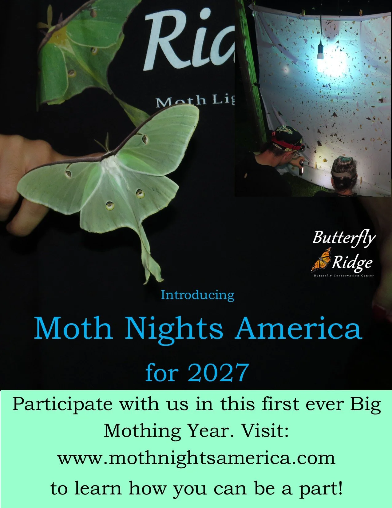Moth Nights America flyer.jpg