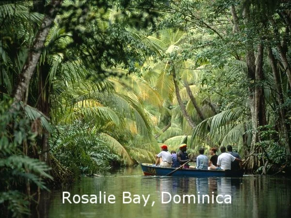 Dominica Photo.jpg