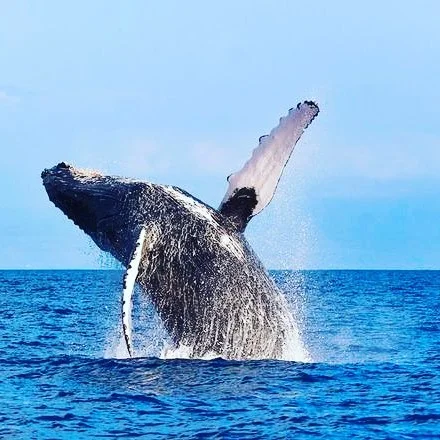 Photo by Jack Ezon of Ovation Travel