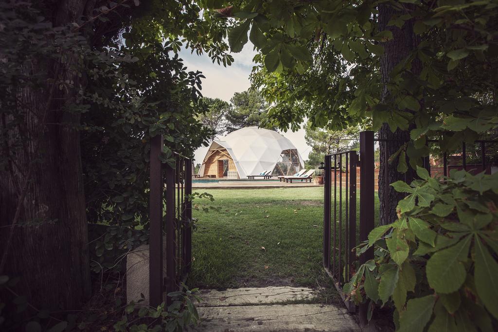 Masqi Dome in Nature.jpg