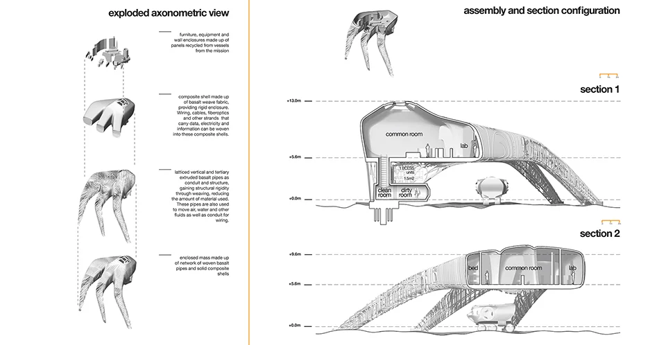 AXON AND SECTIONS.jpg