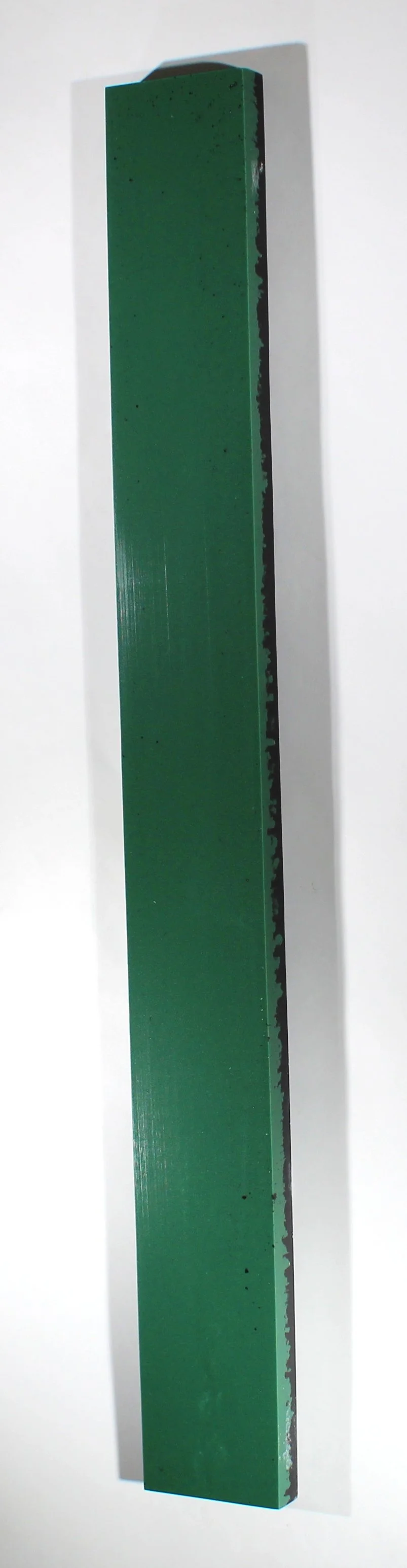 SGibsonArt 2026 - Me and Cinderlla.JPG