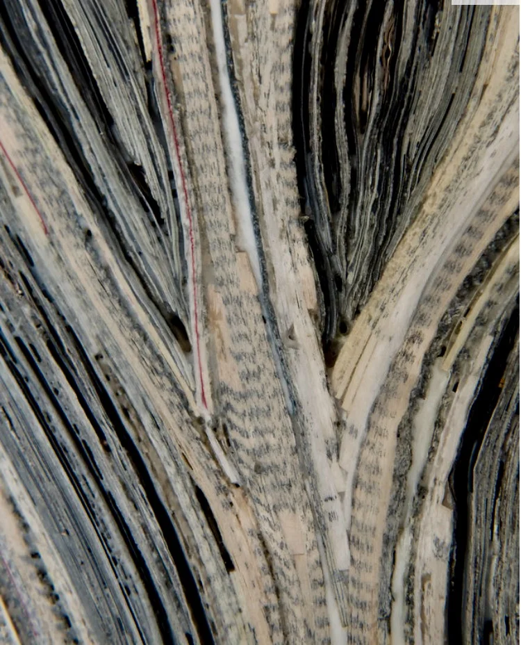 Mixed Review II | Detail