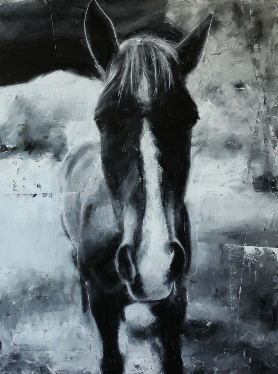 Hawaiin Horse 2