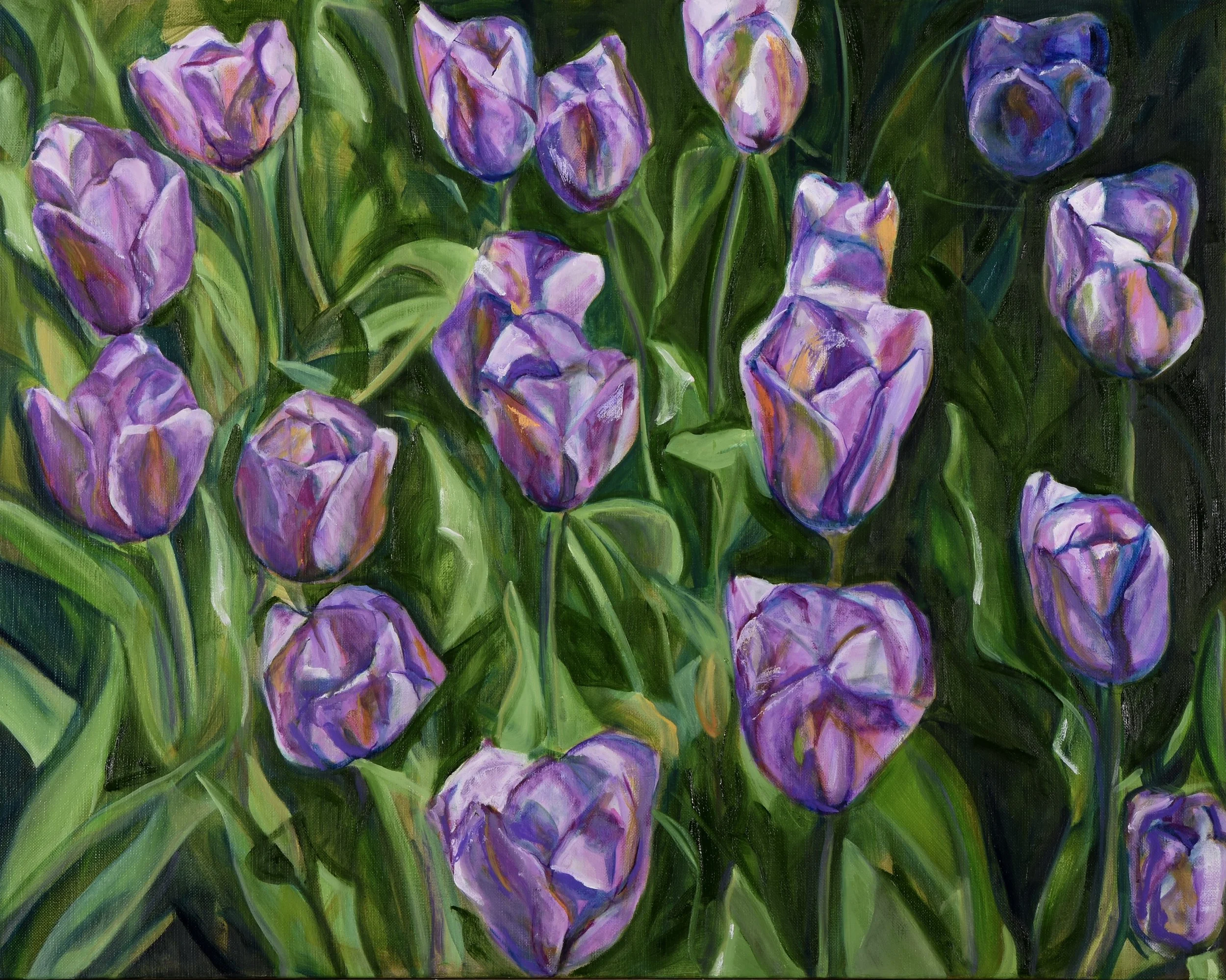 Purple Skagit Tulips | Oil on Linen | 24" x 30 " | $1,750 (framed)