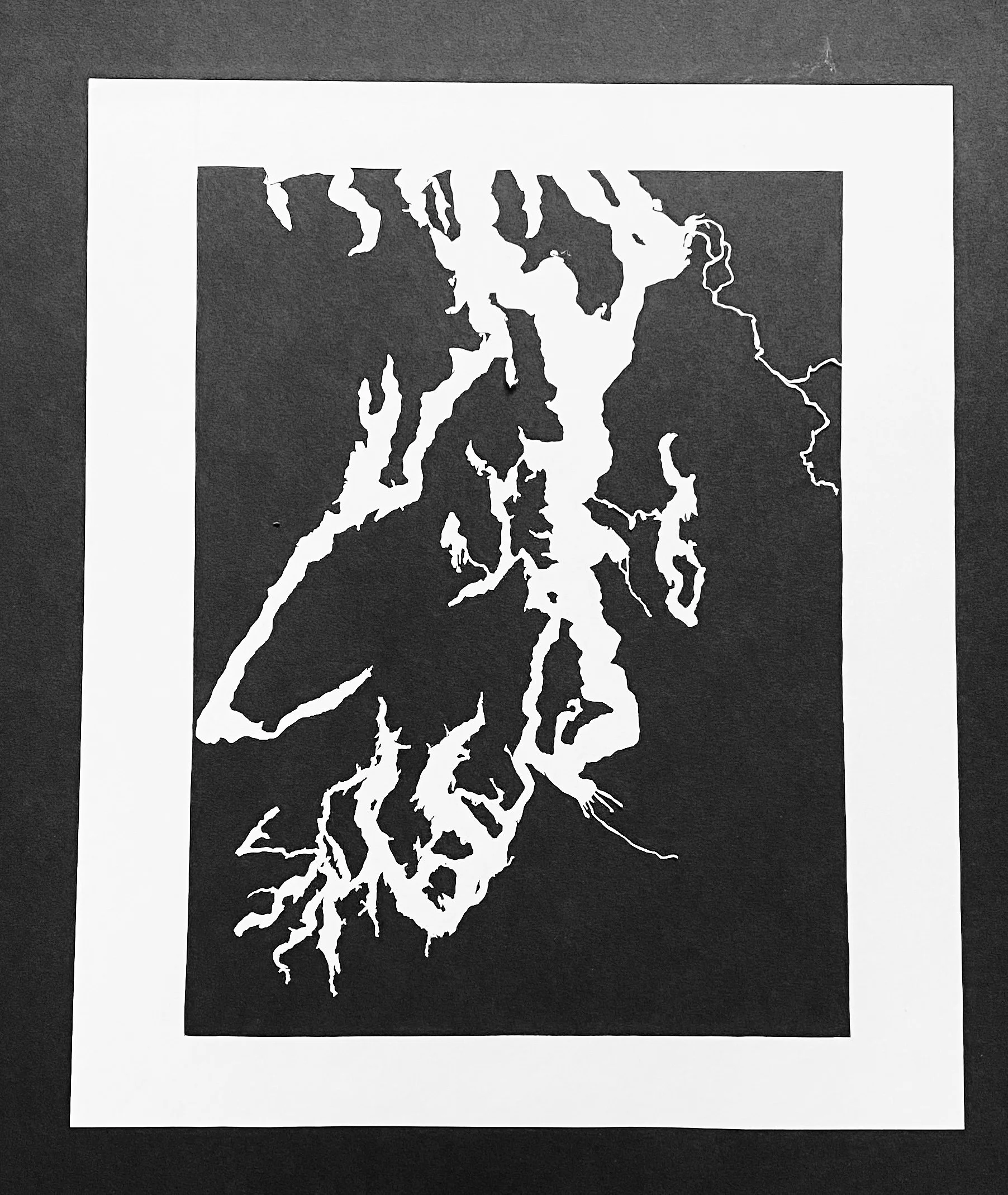 Puget Sound Waterways | in Acrylic Frame Mylar Drafting Film| 18” x 24” | $600