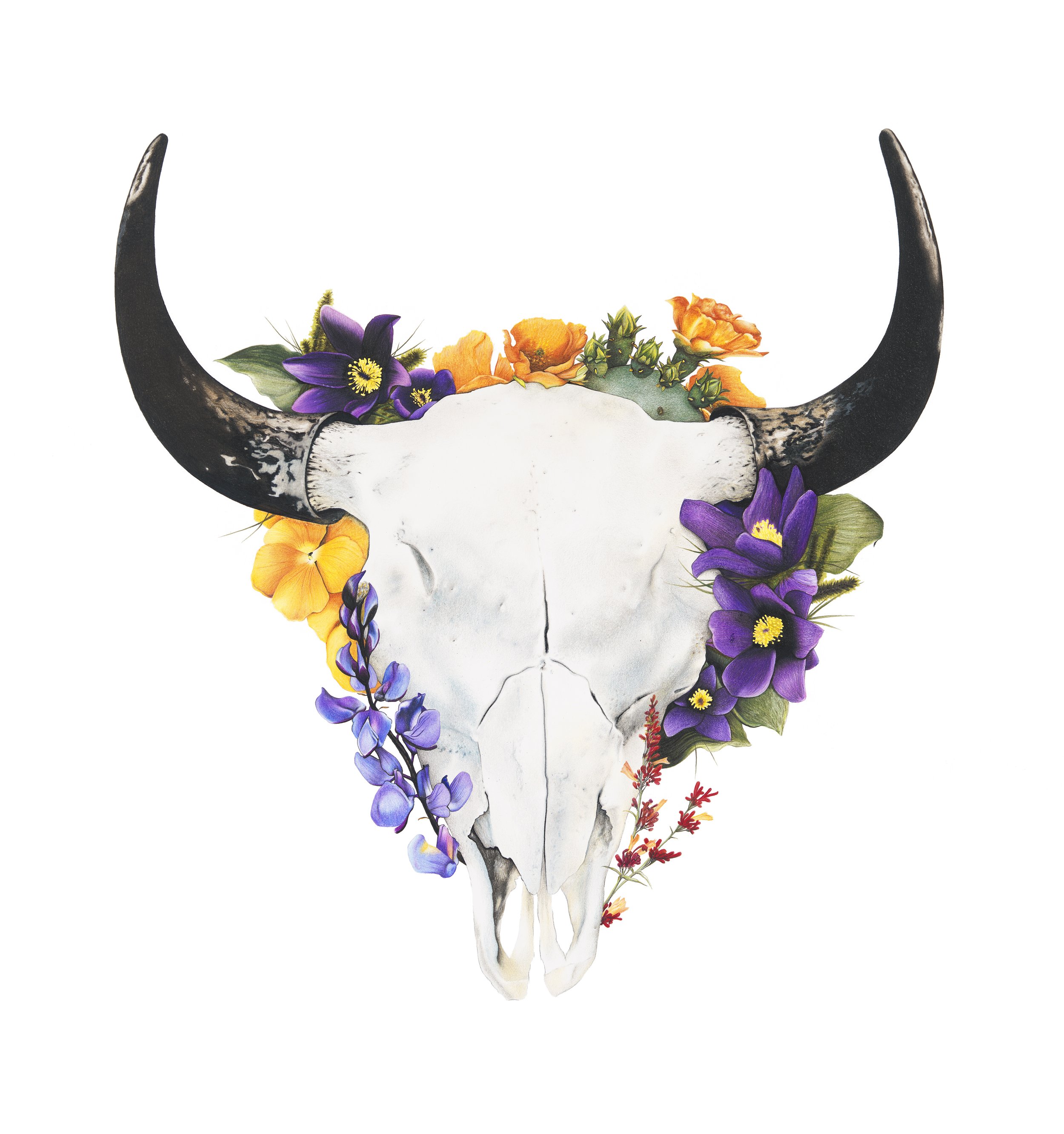 Floral Bison | Limited Edition Print | 25" x 25" | $225