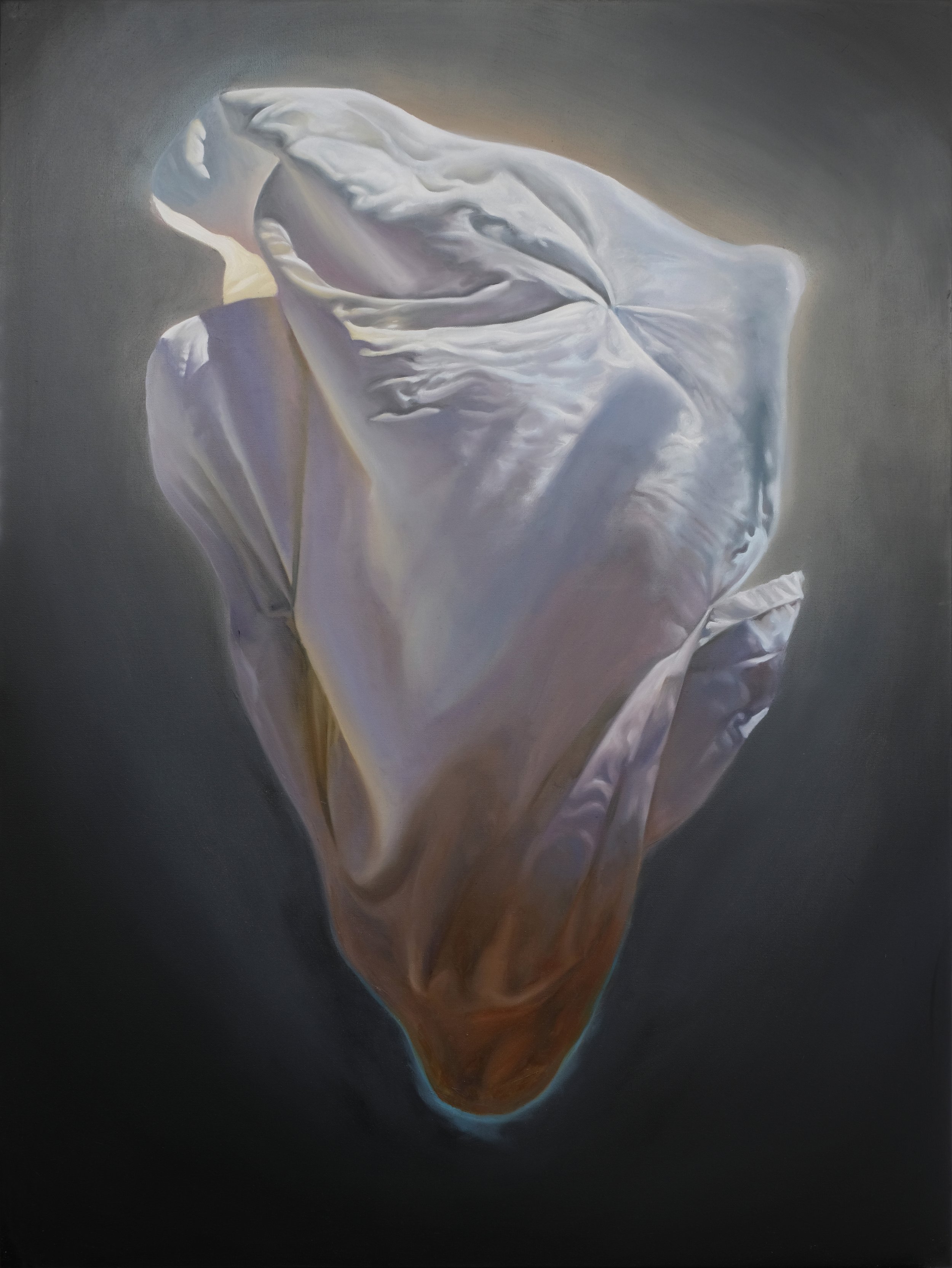 Pyre Two | Oil Paint on Canvas | 48" x 36 " | $3900