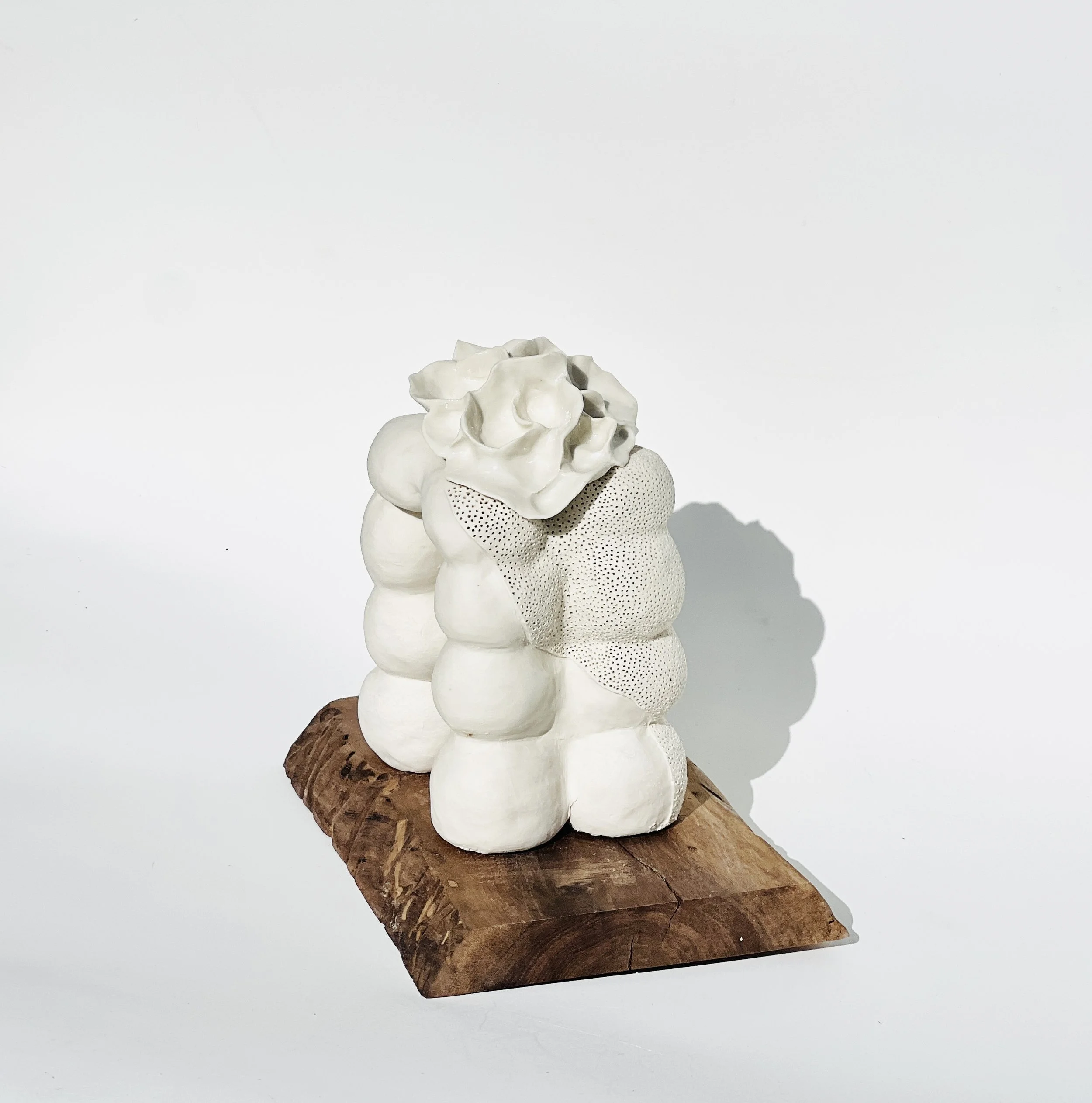 Multicystic |  Porcelain/ clear glaze | 9 x 6 x 5 inches |  $1100