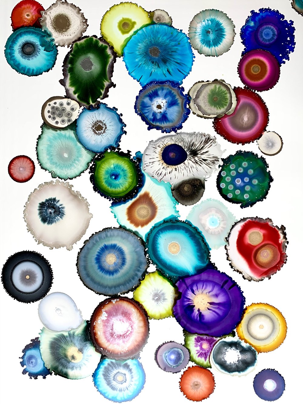 Gray Sky Gallery | Contemporary Art Gallery | Seattle