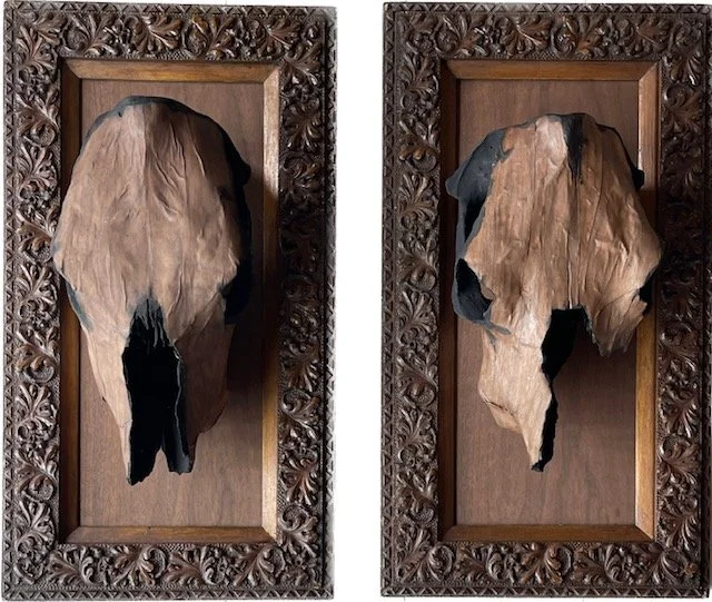 Milton Ernest  |  Walnut veneer, acrylic, on cow skull, vintage carved frames | 26 x 14 x 7 inch | $1200.00 each